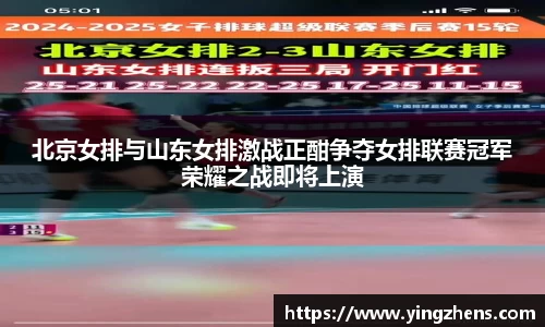 中欧体育