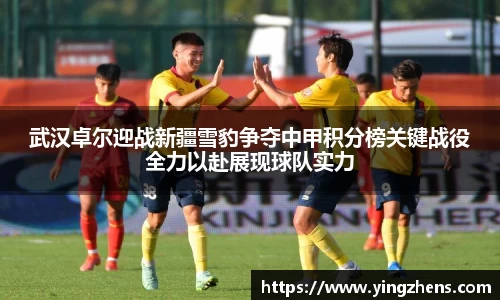 中欧体育