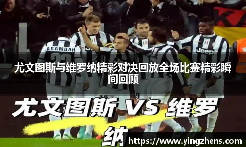 zoty中欧体育