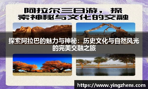 中欧体育官网