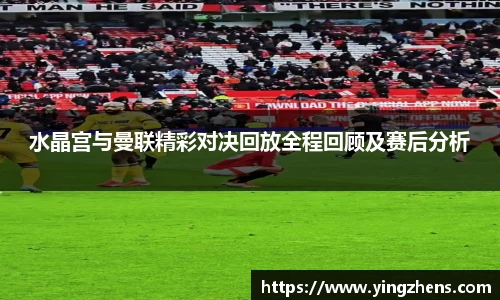 中欧体育