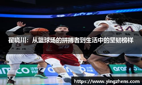 中欧体育官网