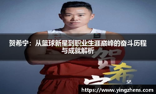 中欧体育网址