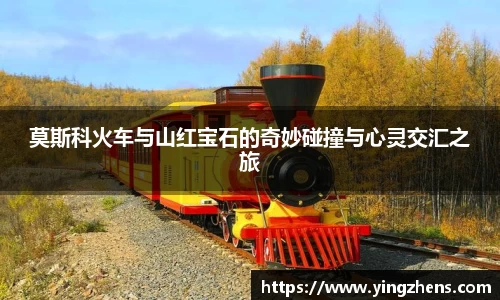 中欧体育网址
